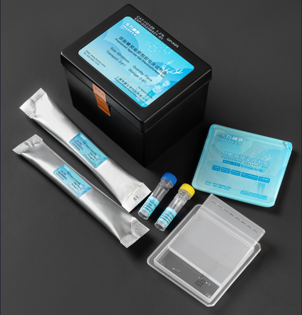 Prestained Agarose Gel Electrophoresis Kit